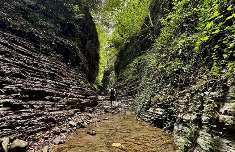 Cevizdibi Kanyonu: Karadeniz’in Yeni Turizm Çekim Noktası